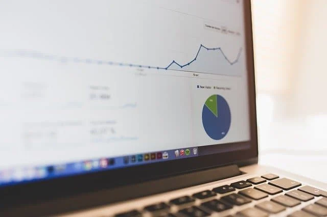 Search Engine Optimization: What It Is and What You Can Get From It
